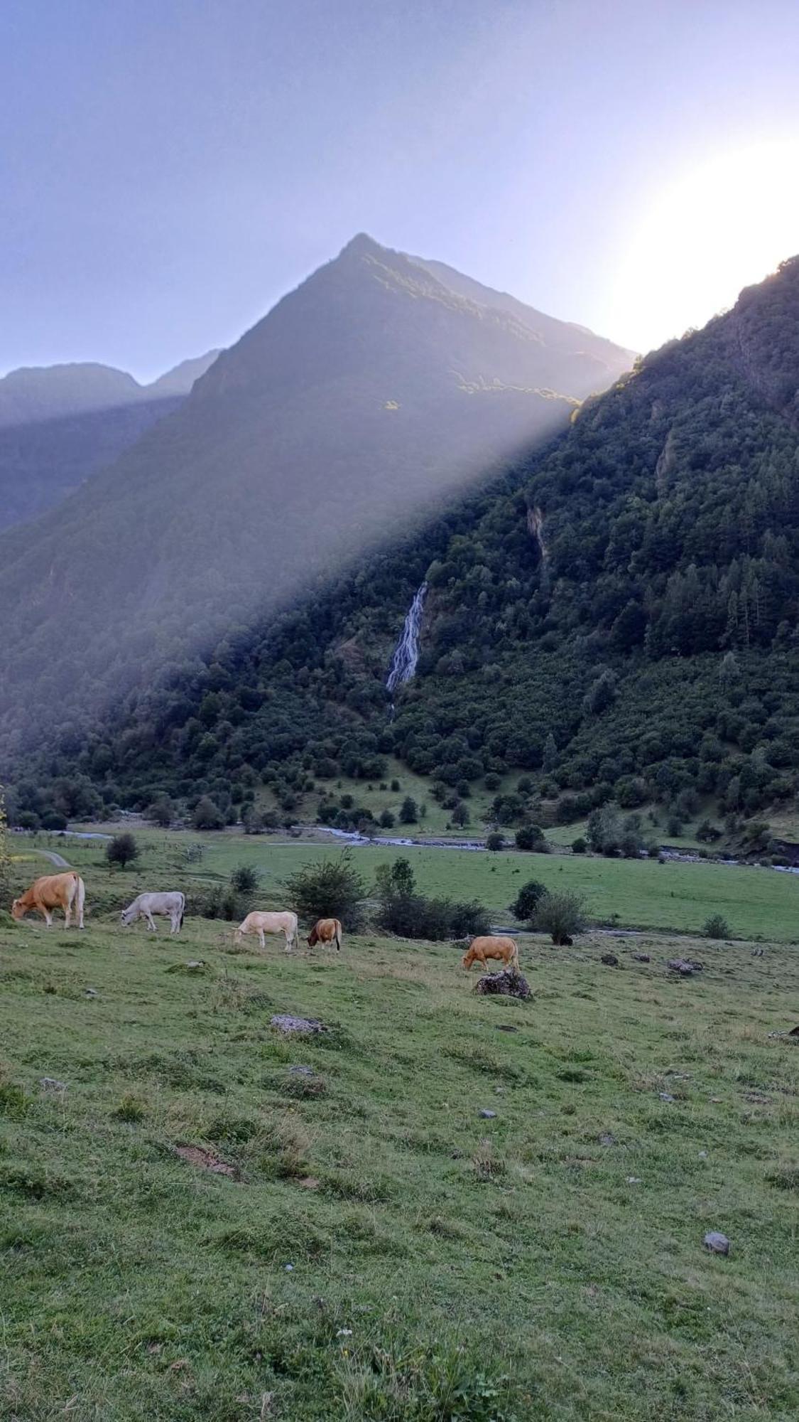 Studio Hyper Centre Lumineux Et Fonctionnel Luchon Bagnères-de-Luchon 外观 照片